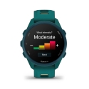 Garmin Forerunner 170 Music GPS-умные часы для бега, синий-зеленый Garmin Forerunner 170 Music GPS-умные часы для бега, синий-зеленый