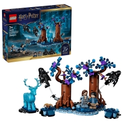 LEGO HARRY POTTER 76475 Keelatud mets - Expecto Patronum
