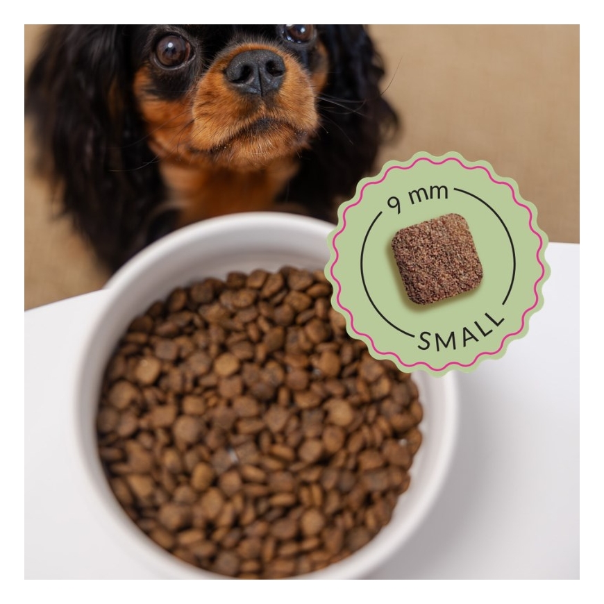 ADDVENA Tehostettu superruoilla Junior Pieni Naudanliha - kuiva koiranruoka - 2,5kg – 3