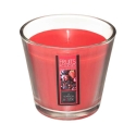 ATMOSPHERA ŽVAKĖ AROMATAS NINA RAUDONAS STIKLAS 130728H 90G ATMOSPHERA ŽVAKĖ AROMATAS NINA RAUDONAS STIKLAS 130728H 90G