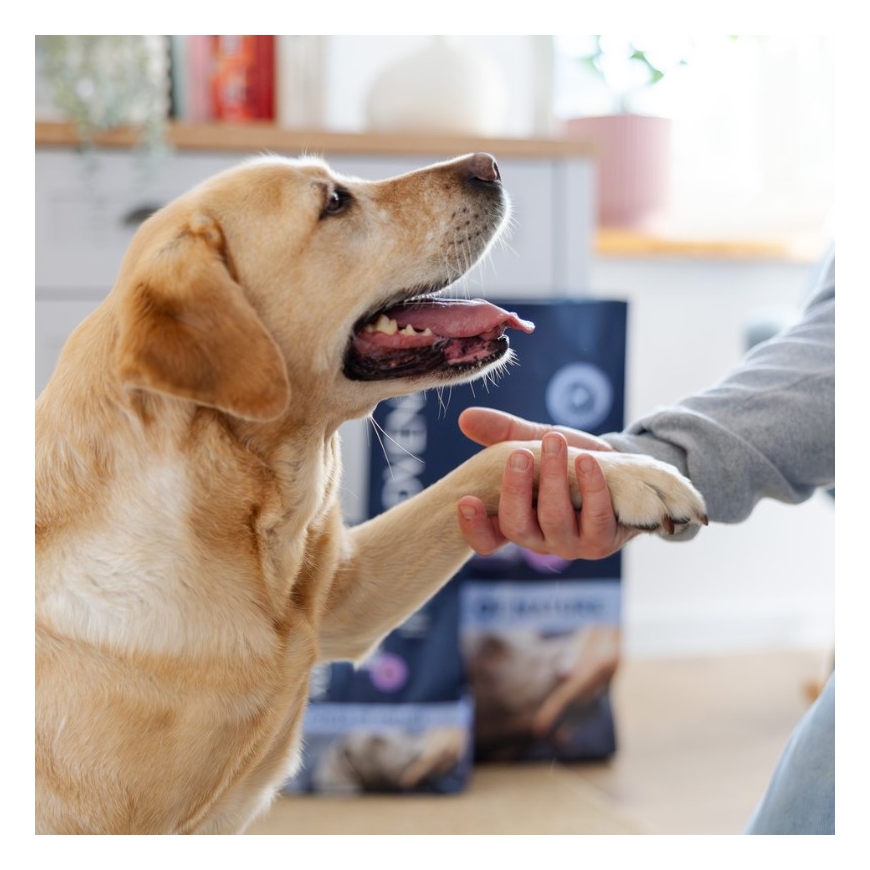 ADDVENA Power of Nature Senior Medium/Large Mono Lamb - dry dog food - 10kg – 5