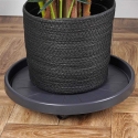 Nature Augu paliktņi ar riteņiem 35 cm Nature Augu paliktņi ar riteņiem 35 cm