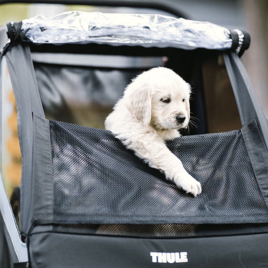 Thule Courier аксессуар для домашних животных в комплекте для коляски для собак – 5