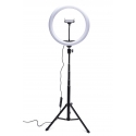 Rio RL12-EU/1,4 30cm Studio RGB skaistumgais gaismas riņķis Rio RL12-EU/1,4 30cm Studio RGB skaistumgais gaismas riņķis
