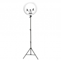 Rio RL18-EU/1.2 45cm himmennettävä LED-renkaisvalaisin