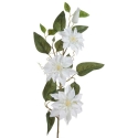 Eurofirany KW/NATU/391/B+ZI B+ZIEL Eurofirany KW/NATU/391/B+ZI B+ZIEL
