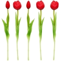 Saska Garden Red Peony Tulip Bouquet Saska Garden Red Peony Tulip Bouquet