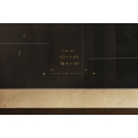 Miele KM 8462 FL - induction hob, 60 cm