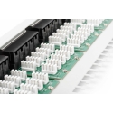 Патч-панель DIGITUS 1U 50x RJ45 LSA Серая