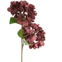 Eurofirany KW/FLORE/872/C.F C.FIOL Eurofirany KW/FLORE/872/C.F C.FIOL