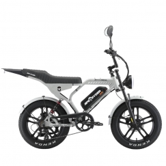 Электрический велосипед APE RYDER Mandrill Ultra Grey