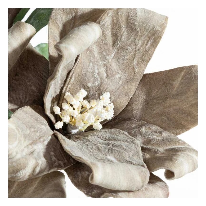 Eurofirany KW/FLORE/868/C.B C.BEIGE – 2