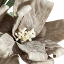 Eurofirany KW/FLORE/868/C.B C.BEIGE Eurofirany KW/FLORE/868/C.B C.BEIGE