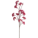 Eurofirany KW/FLORE/860/C.R D.R.O. Eurofirany KW/FLORE/860/C.R D.R.O.