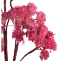 Eurofirany KW/FLORE/860/C.R D.R.O. Eurofirany KW/FLORE/860/C.R D.R.O.