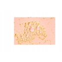 Lumene Nordic Bloom Berry Pre-Retinol Face Oil, 30 ml