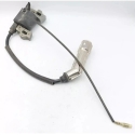 Dedra Ignition Coil