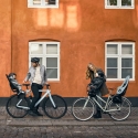Thule Yepp 2 Maxi детское сиденье, крепление на багажник, средне-синий Thule Yepp 2 Maxi детское сиденье, крепление на багажник, средне-синий