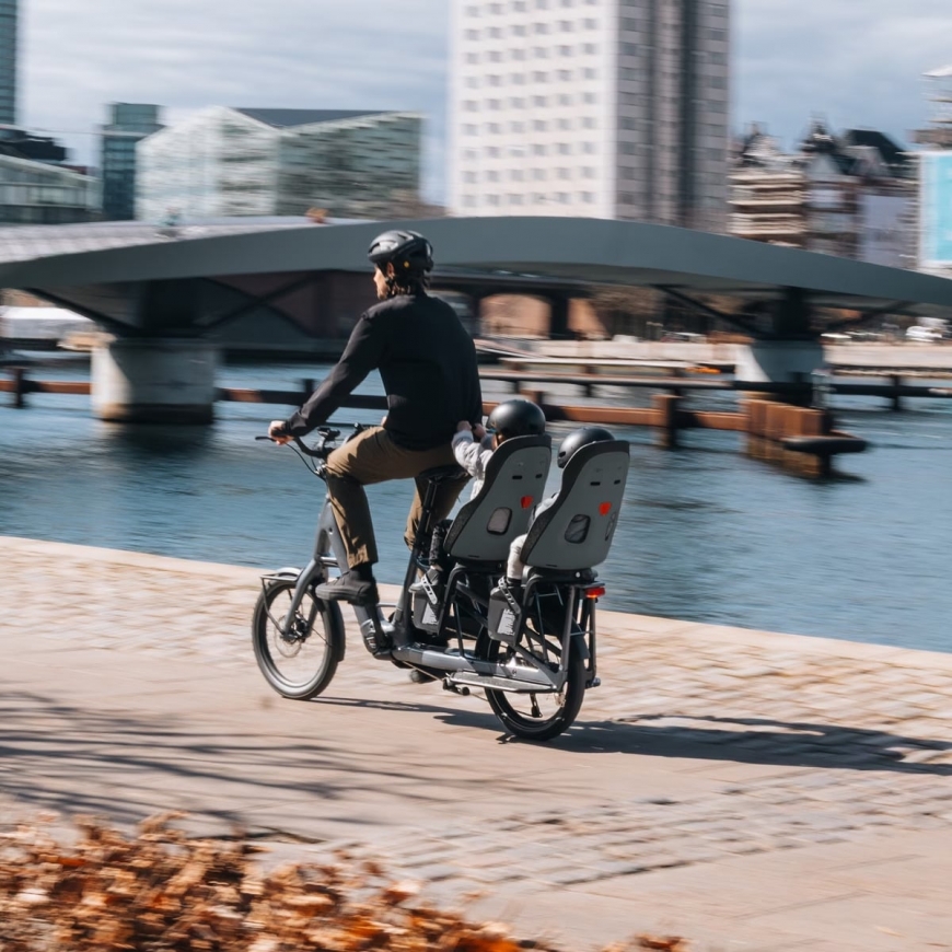 Thule Yepp Nexxt 2 Maxi vaikų sėdynė, rėmo tvirtinimas, vidurnakčio juoda – 5
