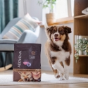 ADDVENA Boosted by Superfoods Junior Medium/Large Beef - dry dog food - 10kg