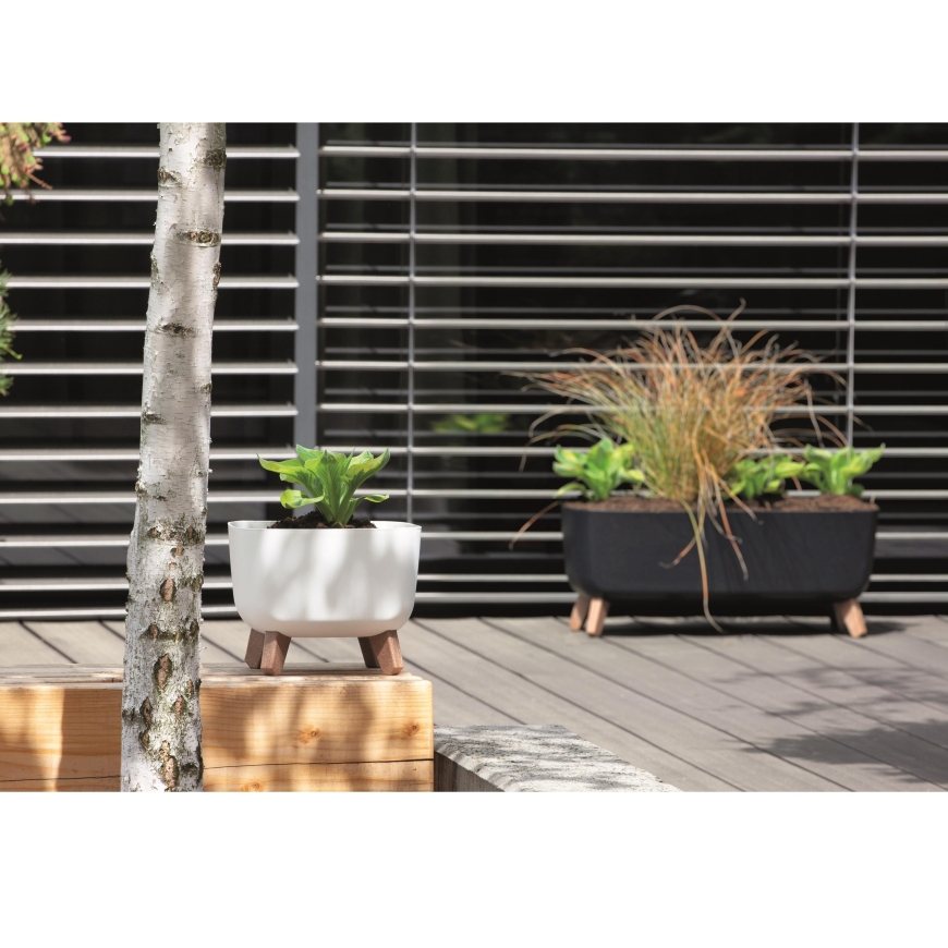 Prosperplast Doniczka Gracia Square DGQL240 - белый – 3