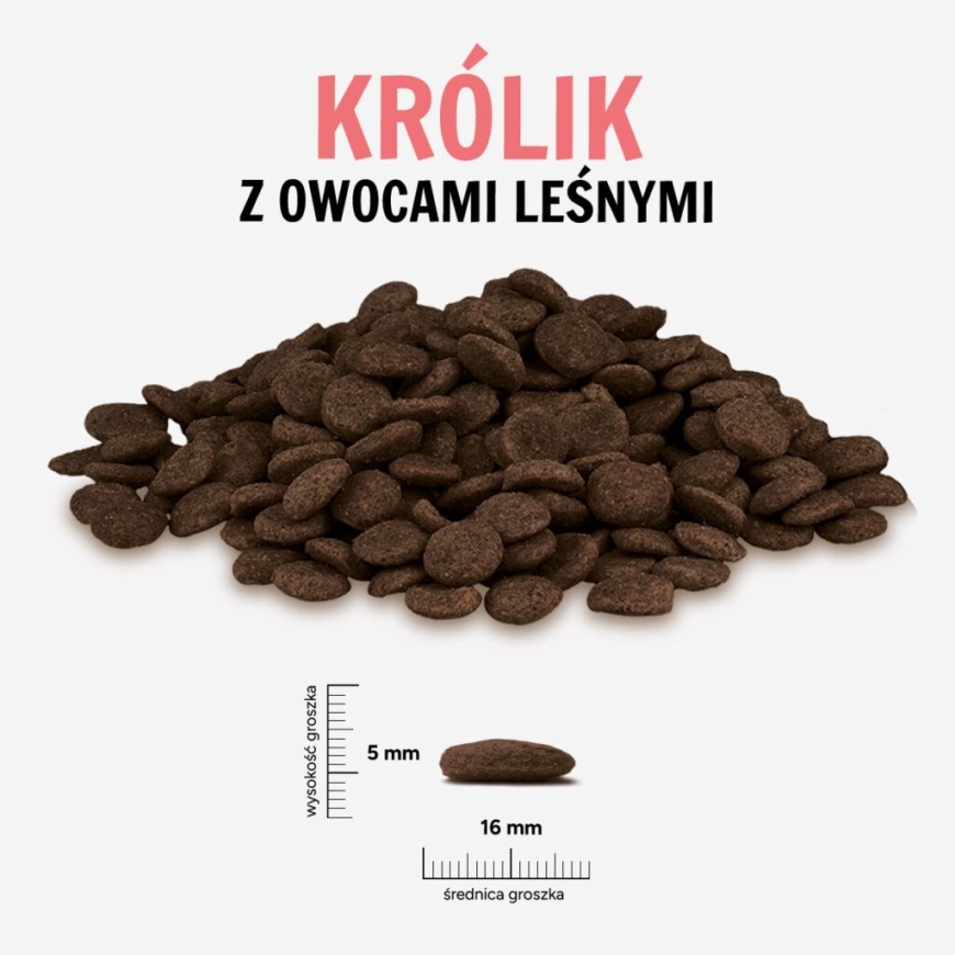 PAKKA TIERI Kanin avec metsämarjoja L – kuiva koiranruoka – 9 kg – 2