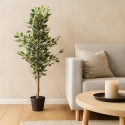 Home Styling Collection Artificial Ficus in Black Pot, 115 cm Home Styling Collection Artificial Ficus in Black Pot, 115 cm
