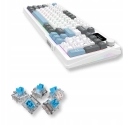 Aqirys Atria (US) Balts Aqirys Atria (US) Balts