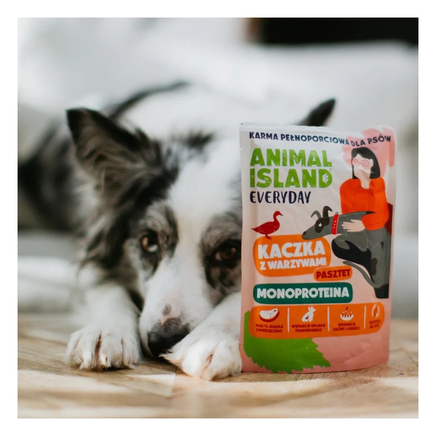 ANIMAL ISLAND Jokapäiväinen Monoproteiini Ankka - märkäkoiranruoka - 300 g – 2