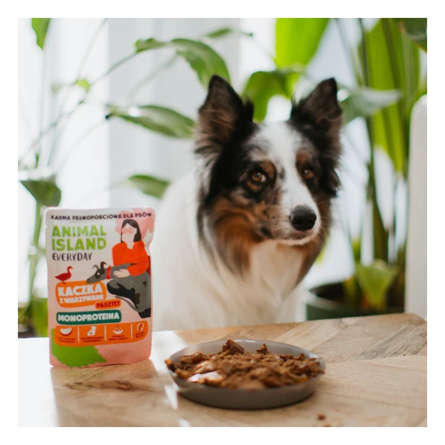 ANIMAL ISLAND Kasdieniai Monoproteininiai Antienos Šunų ėdalas - šlapias - 300g – 3
