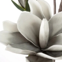 Eurofirany KW/FLORE/667/SRE SREB+B Eurofirany KW/FLORE/667/SRE SREB+B