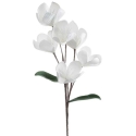 Eurofirany KW/FLORE/854/B B Eurofirany KW/FLORE/854/B B