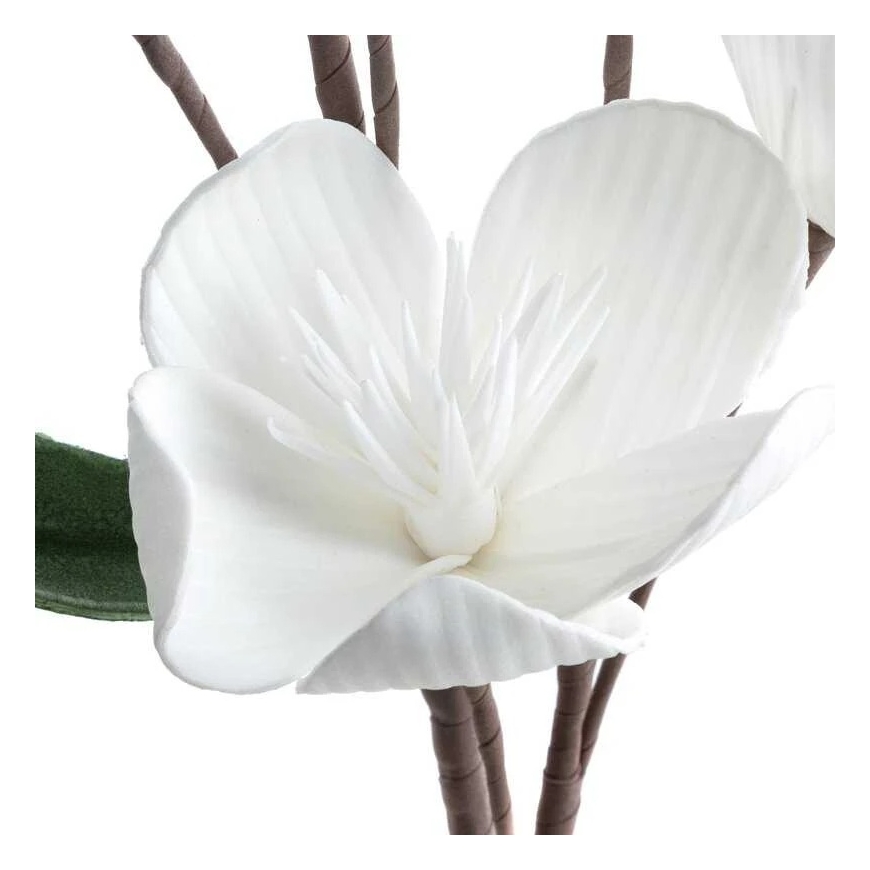 Eurofirany KW/FLORE/854/B B – 2
