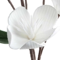 Eurofirany KW/FLORE/854/B B Eurofirany KW/FLORE/854/B B