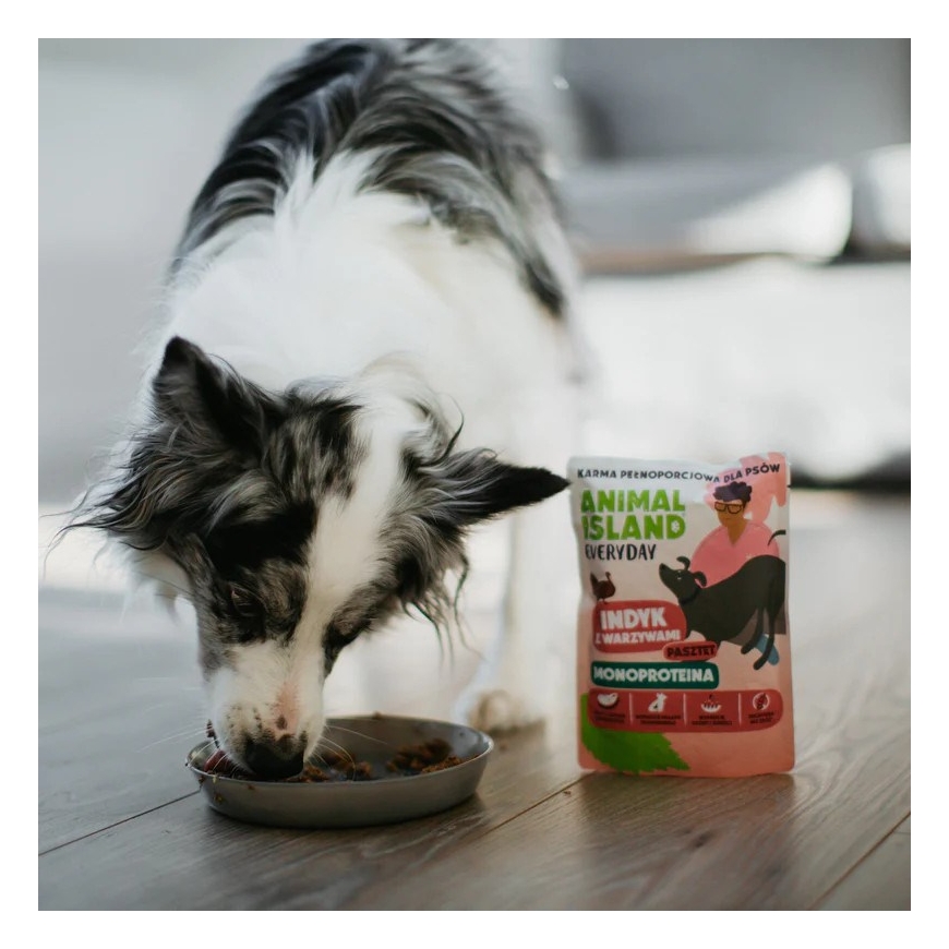 ANIMAL ISLAND Everyday Monoprotein Turkey - wet dog food - 300g – 2