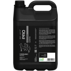 DR LUCY - PRO DISOILING 5 L - LEMPUSTUSHAMPOO KOIRILLE