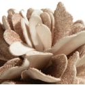 Eurofirany KW/FLORE/874/C.B C.BEIGE Eurofirany KW/FLORE/874/C.B C.BEIGE