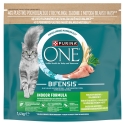 PURINA One Bifensis Indoor Kanasravinto, jossa on kalkkunaa - kuivaruoka kissoille - 750 g PURINA One Bifensis Indoor Kanasravinto, jossa on kalkkunaa - kuivaruoka kissoille - 750 g