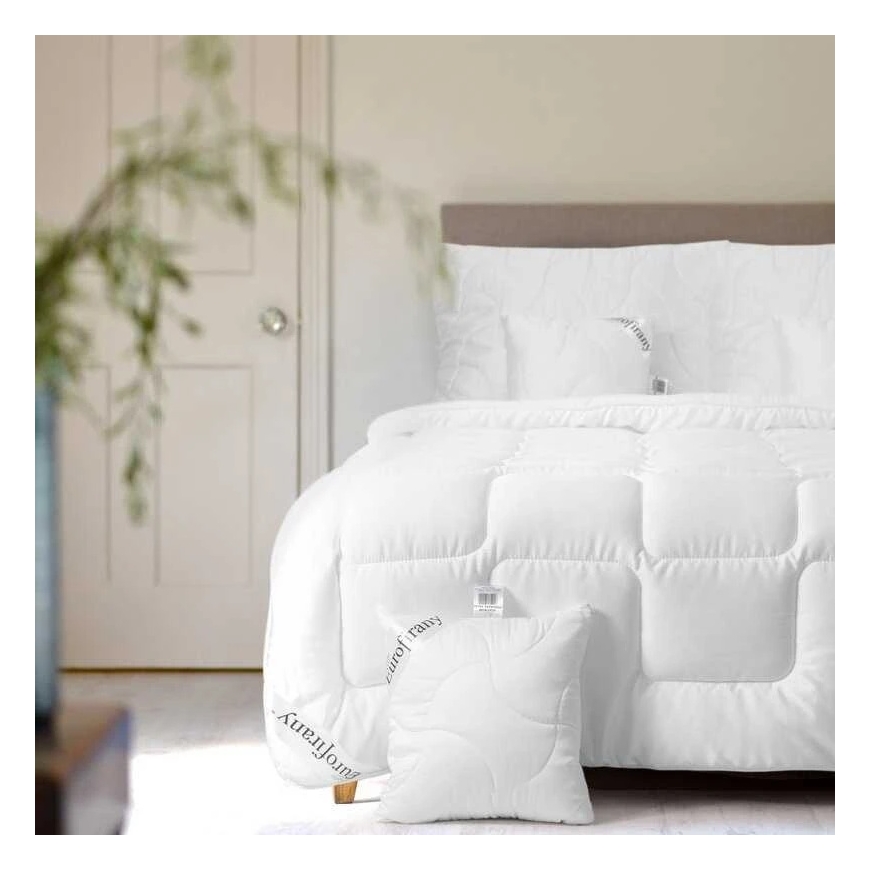 Eurofirany KOŁ/3/POD/PLATIN 50X60 Pillowcase – 5