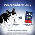 PURINA Felix oriģināls zupas laiks kaste liellopa, jēra, vistas - mitrā kaķu barība - 6x48g PURINA Felix oriģināls zupas laiks kaste liellopa, jēra, vistas - mitrā kaķu barība - 6x48g