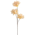 Eurofirany KW/FLORE/852/K K+GELTONA Eurofirany KW/FLORE/852/K K+GELTONA