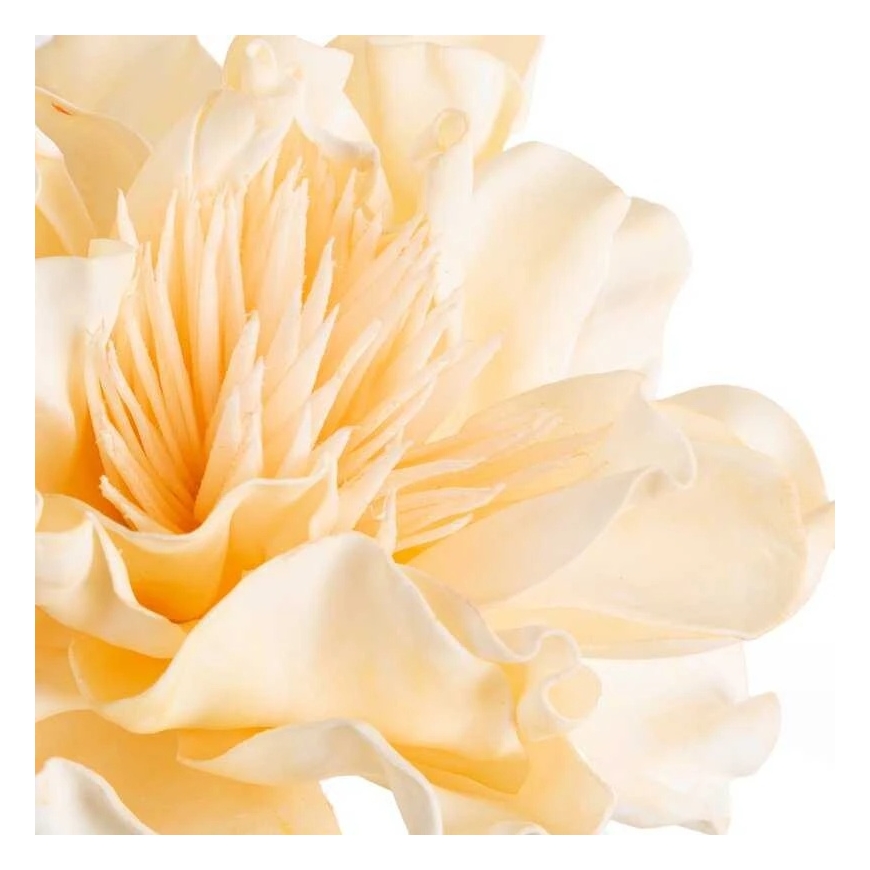 Eurofirany KW/FLORE/852/K K+GELTONA – 2
