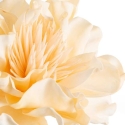 Eurofirany KW/FLORE/852/K K+GELTONA Eurofirany KW/FLORE/852/K K+GELTONA
