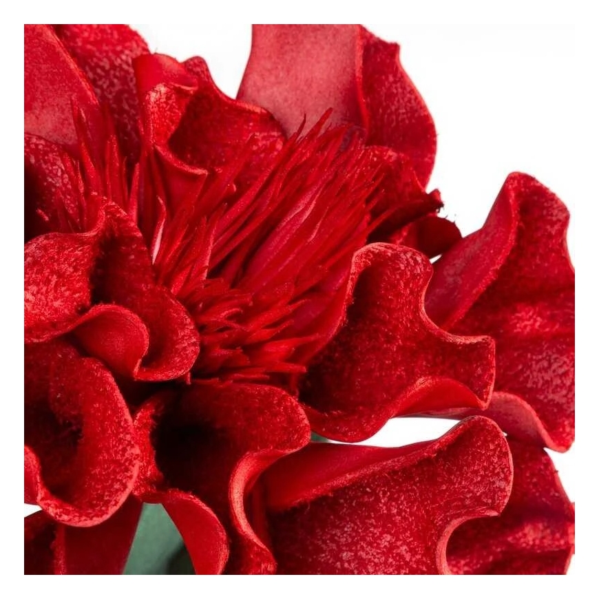 Eurofirany KW/FLORE/873/JUN Red – 2