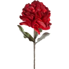 Eurofirany KW/FLORE/874/JUN Raudonas