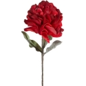 Eurofirany KW/FLORE/874/JUN Sarkanā Eurofirany KW/FLORE/874/JUN Sarkanā