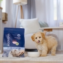 ADDVENA Power of Nature Junior Small Lamb - dry dog food - 2.5kg ADDVENA Power of Nature Junior Small Lamb - dry dog food - 2.5kg
