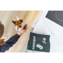ADDVENA Вкусные ощущения для взрослых собак мелких пород с индейкой - сухой корм для собак - 2,5 кг ADDVENA Вкусные ощущения для взрослых собак мелких пород с индейкой - сухой корм для собак - 2,5 кг