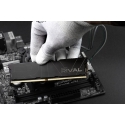 Goodram *DDR4 Rival Deep Black 16GB(1*16)/3600 CL18 memory module 1 x 16 GB 3600 MT/s 288-pin DIMM