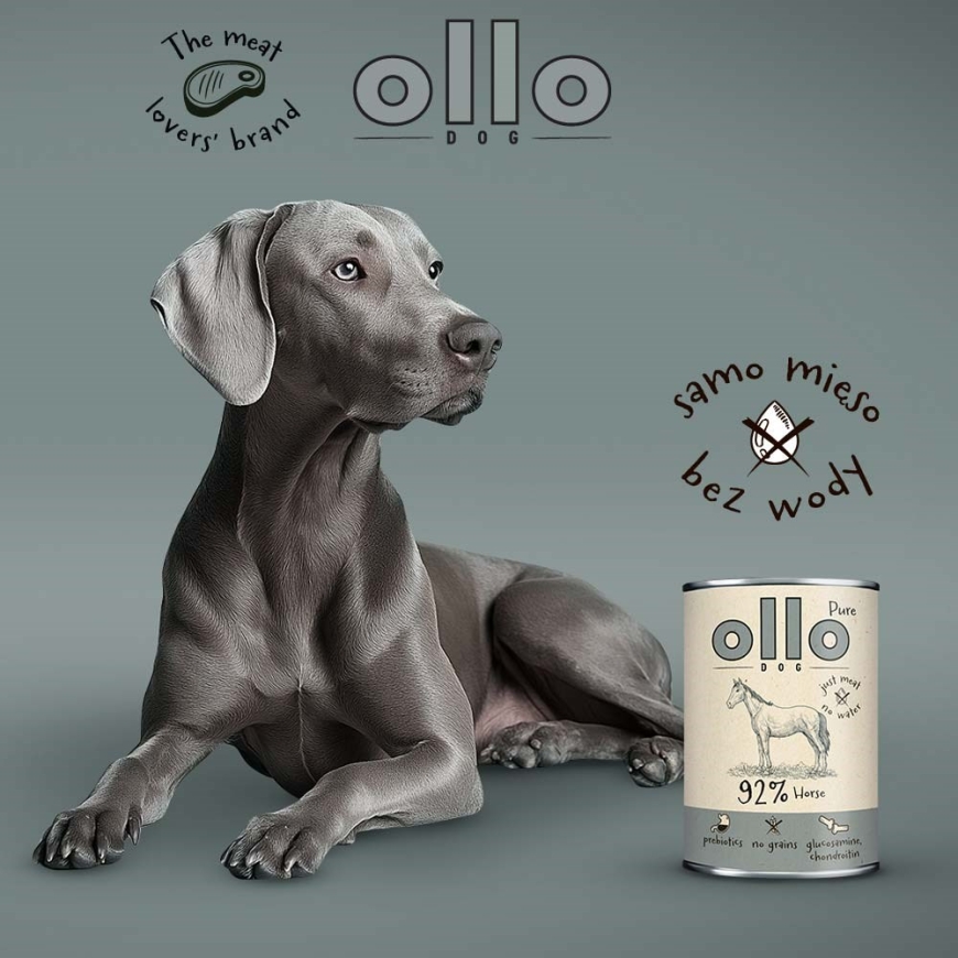 OLLO Pure Horse Mono - märg koeratoit - 850g – 2